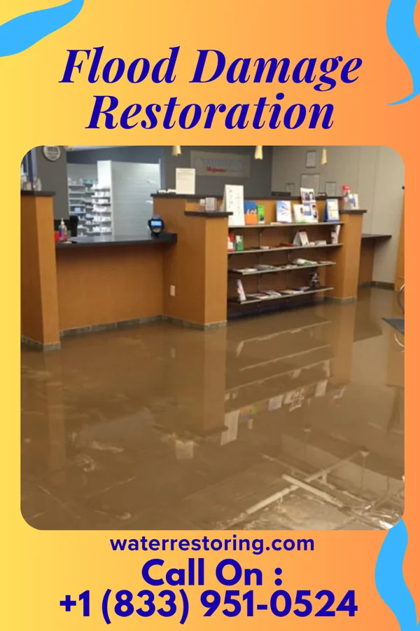 Flood Damage Restoration in Lake Park, IA