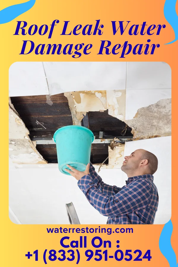 Roof Leak Water Damage Repair in Lake Park, IA