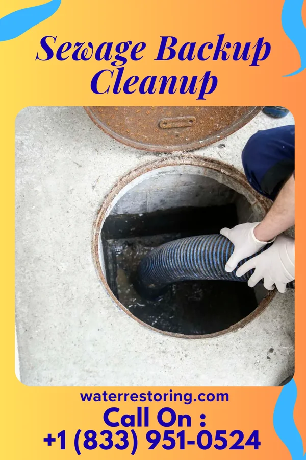 Sewage Backup Cleanup in Lake Park, IA