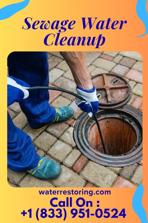 Sewage Water Cleanup in Lake Park, IA