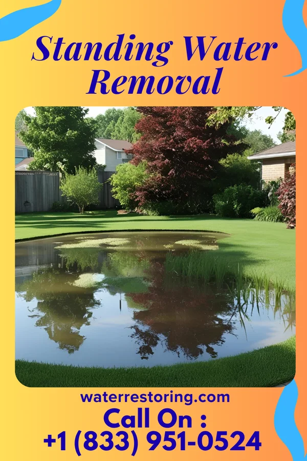 Standing Water Removal in Lake Park, IA